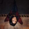 dannia_ruiz